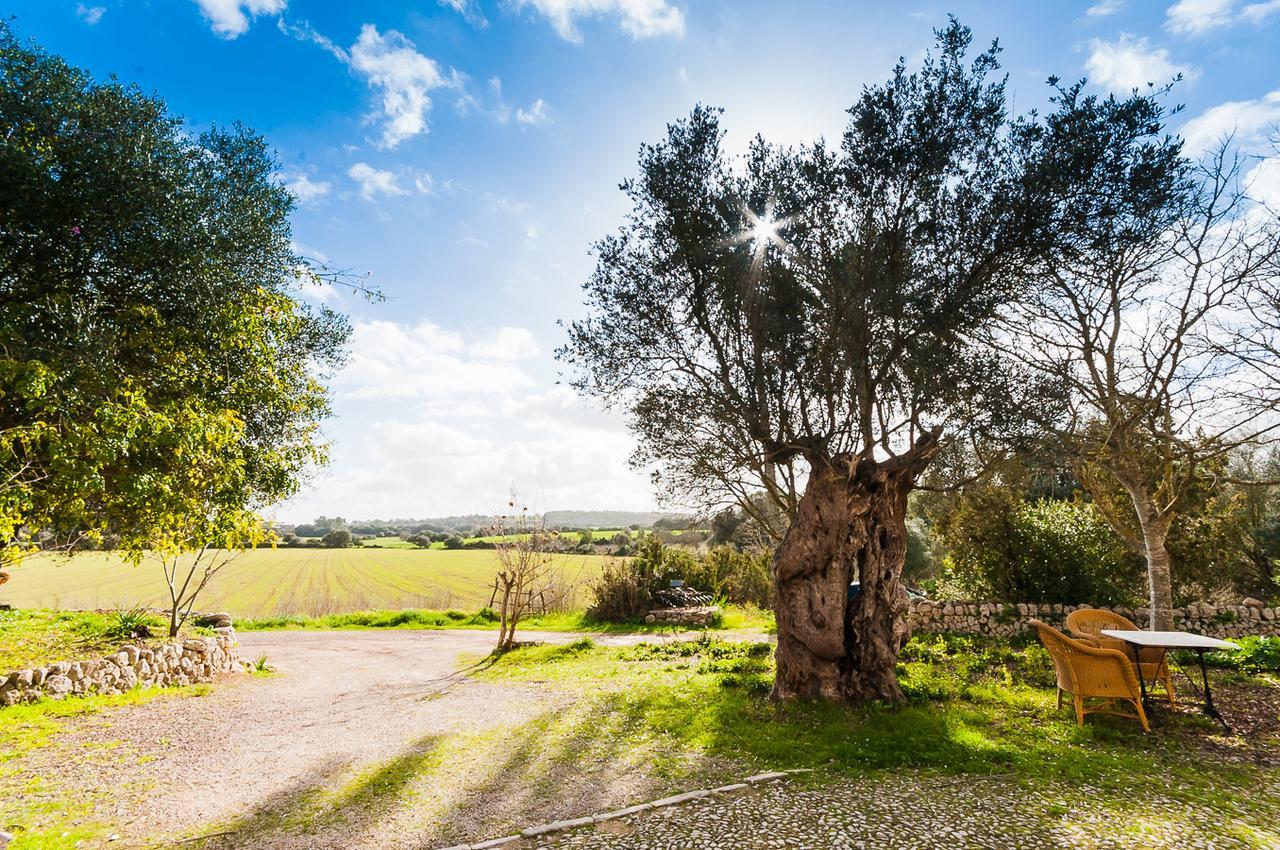Sa Casa Rotja Villa Sineu  Exterior photo